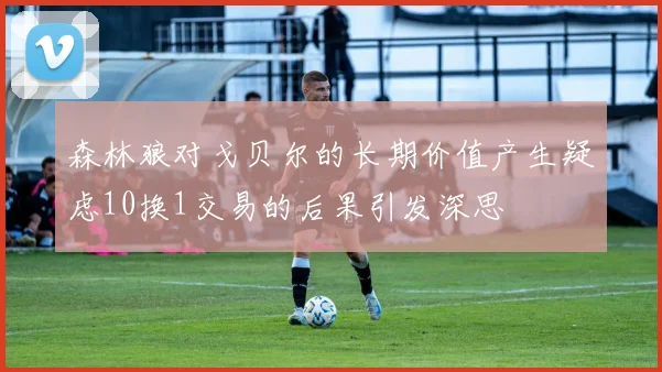 森林狼对戈贝尔的长期价值产生疑虑10换1交易的后果引发深思