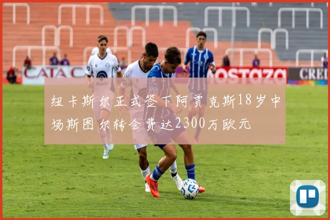 纽卡斯尔正式签下阿贾克斯18岁中场斯图尔转会费达2300万欧元